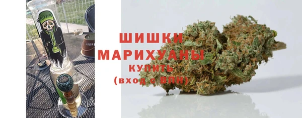 ПСИЛОЦИБИНОВЫЕ ГРИБЫ Нязепетровск
