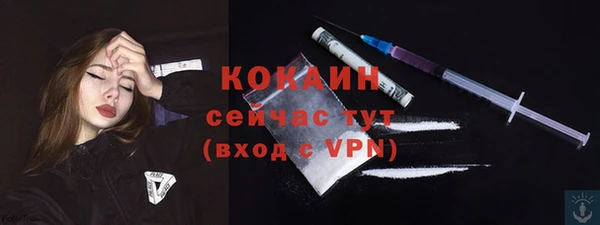 таблы Осинники
