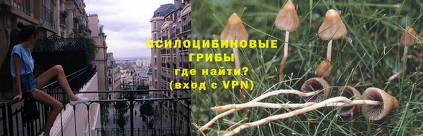 ПСИЛОЦИБИНОВЫЕ ГРИБЫ Нязепетровск