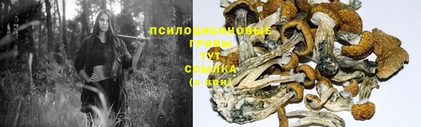 прущие крисы Билибино