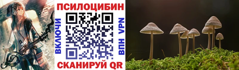Псилоцибиновые грибы ЛСД Елец