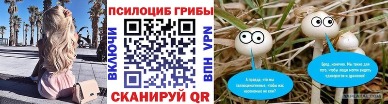 Псилоцибиновые грибы мицелий  Елец 