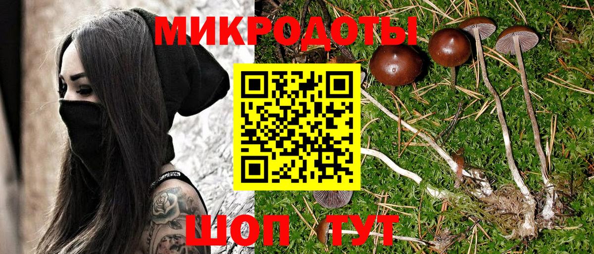 Галлюциногенные грибы мухоморы  Елец  Галлюциногенные грибы MAGIC MUSHROOMS 