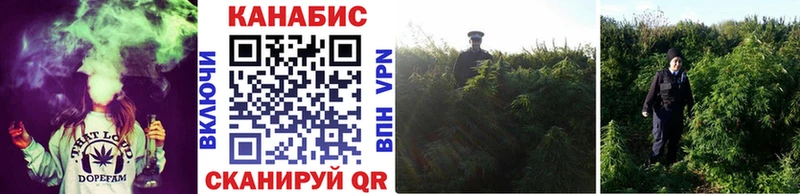 что такое   Елец  Бошки марихуана ГИДРОПОН 